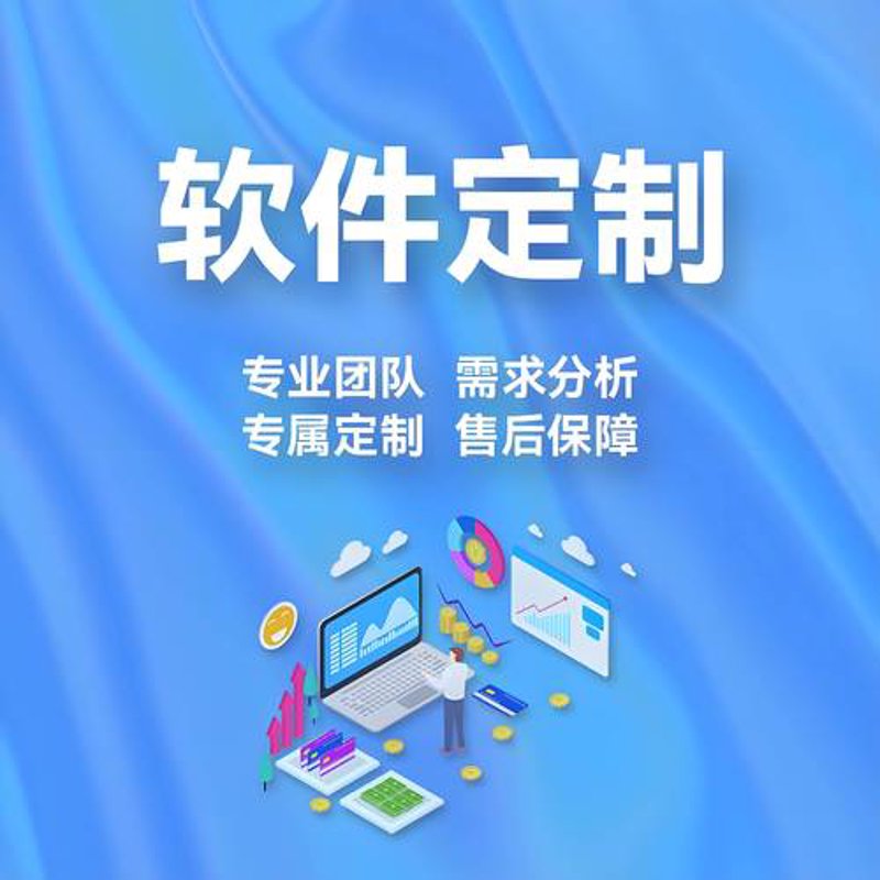 海口软件开发