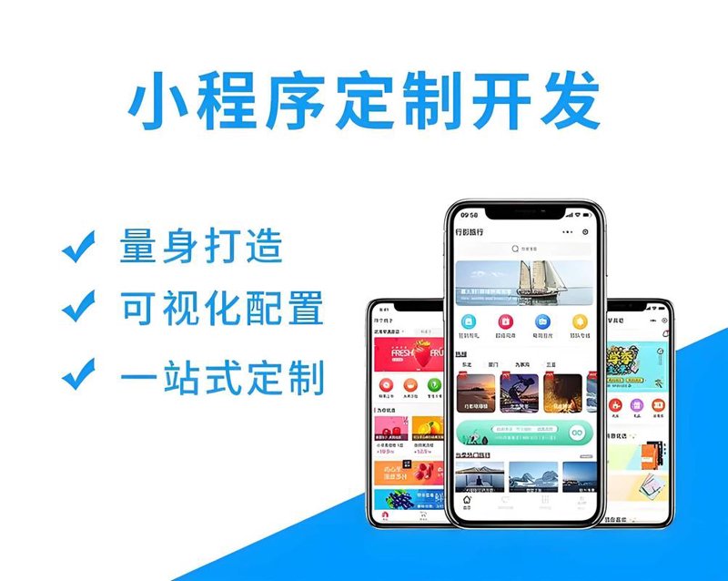 定制软件开发